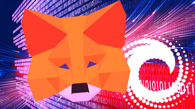 Consensys updates policy to collect Metamask IP data