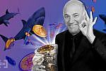 Kevin O’Leary Laments $15M FTX Promo Payday Loss